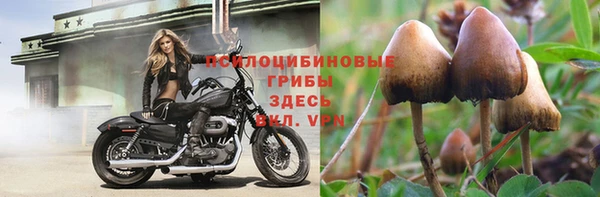 бутират Медвежьегорск