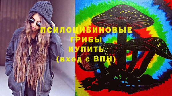 спайс Мегион