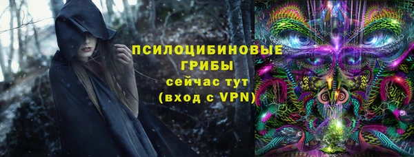 спайс Мегион