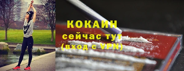 спайс Мегион